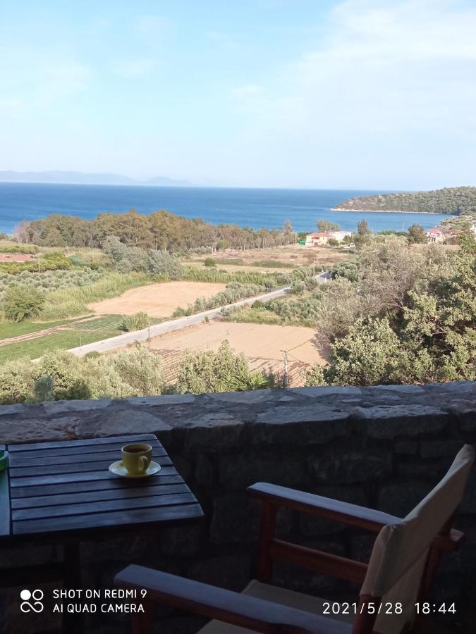 Villas Guest House Ваті Екстер'єр фото