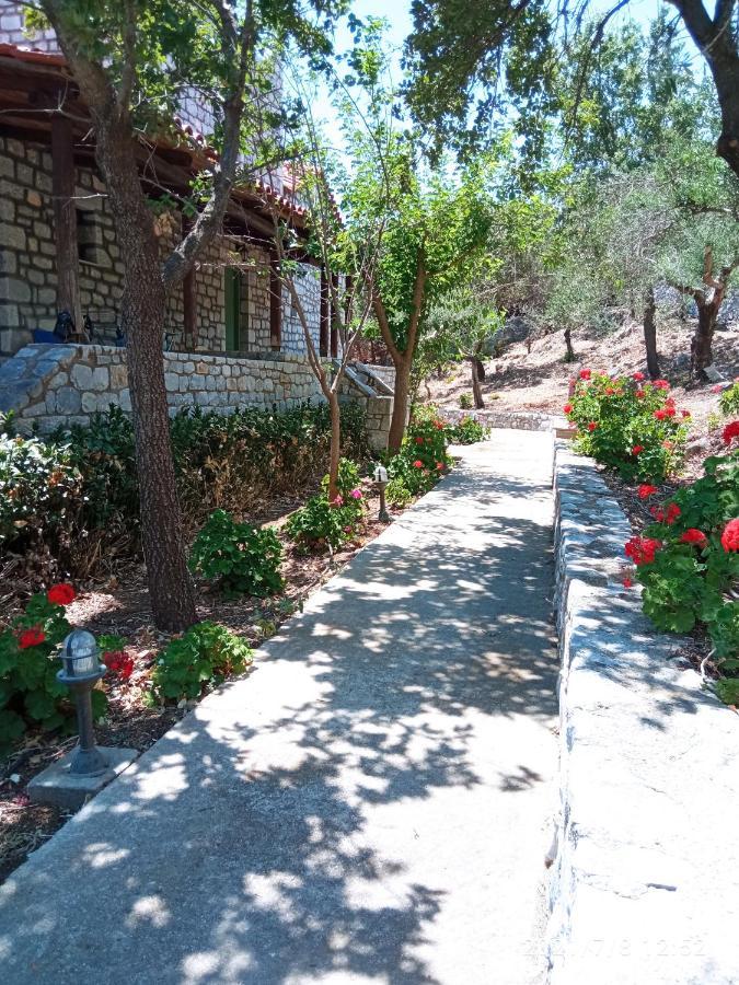 Villas Guest House Ваті Екстер'єр фото